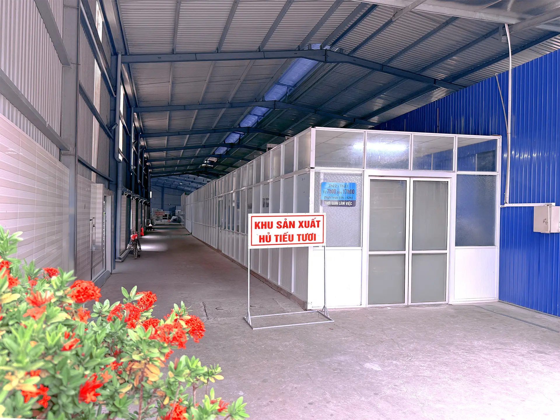 Img 1536 Edited Copy